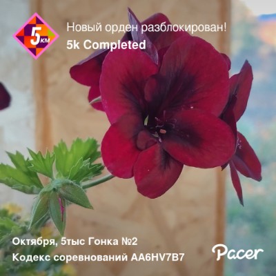 May 5k Race #4 Ларчик 62928. 🇷🇺 ✡️🔥 post image
