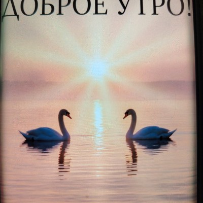 Мы можем больше! Тула Ларчик 62928. 🇷🇺 ✡️🔥 post image