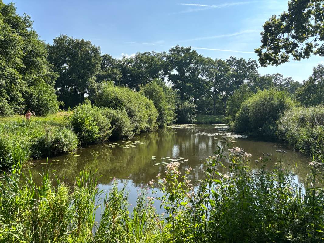 walking near me in G J van Heekpark in autumn