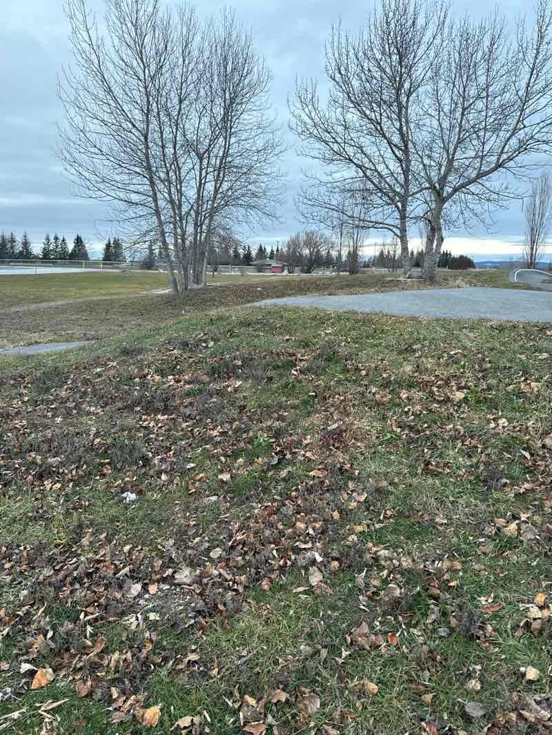 walking near me in Nolan Sisson Community Park in autumn