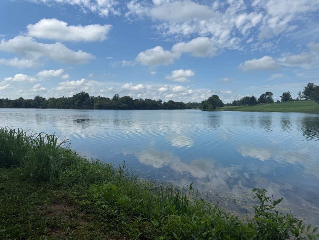walking near me in Camp Catalpa in autumn