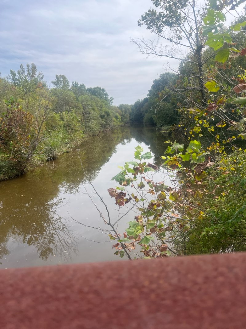 walking near me in Crabtree Creek Watershed Project Site 23 in autumn
