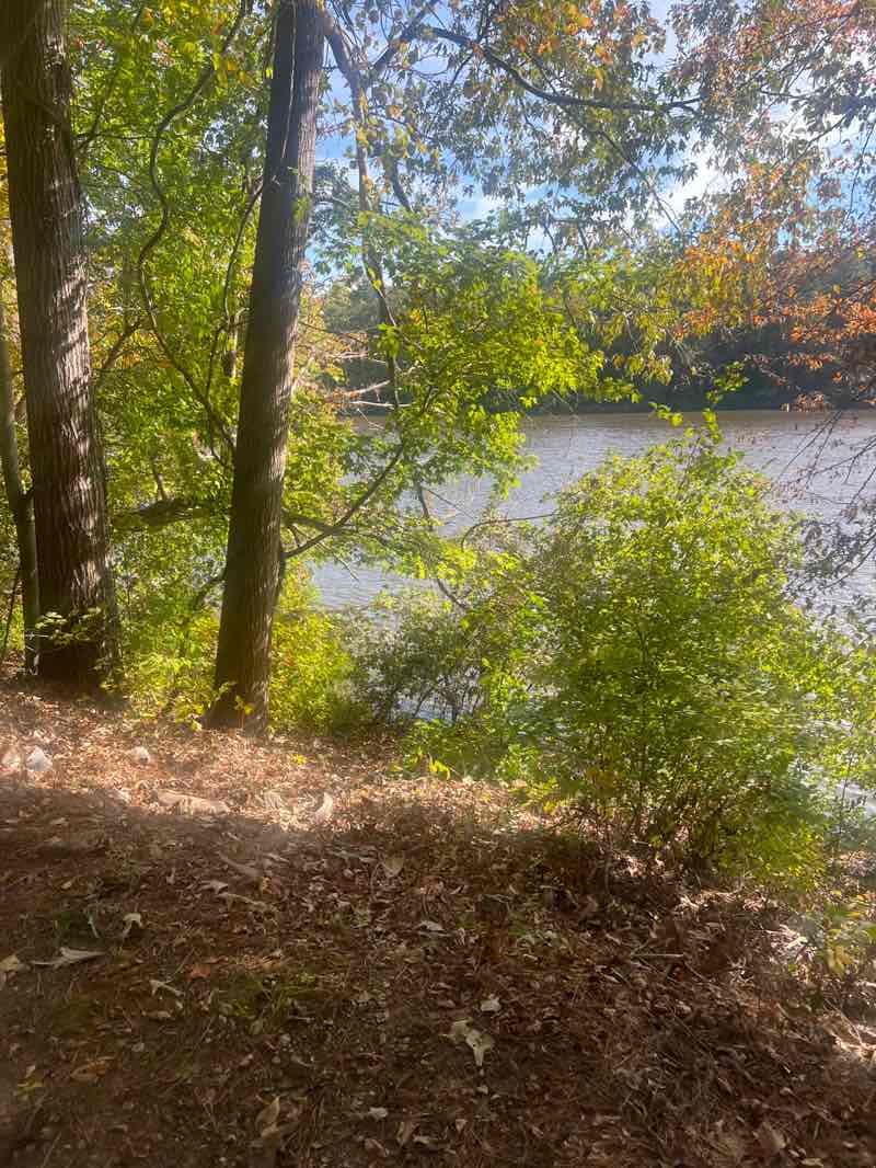 walking near me in Lake Lynn Park in autumn