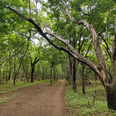Occams Walkathon - Group A Swati Mahima post image