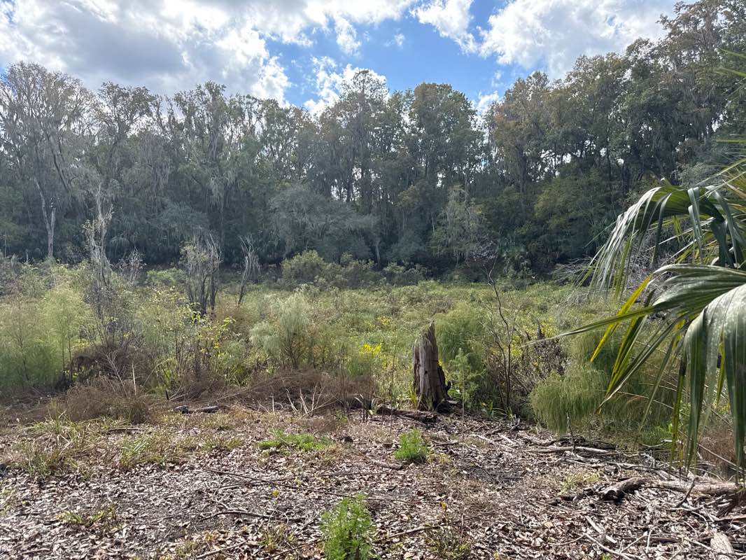 walking near me in Broken Arrow Bluff Park in autumn