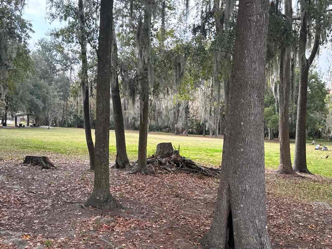 walking near me in Cora P. Roberson Park in winter