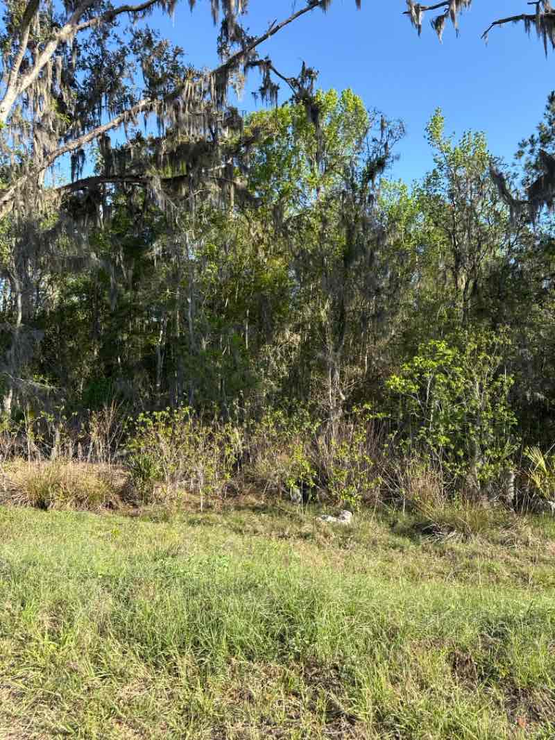 walking near me in Butler North in spring