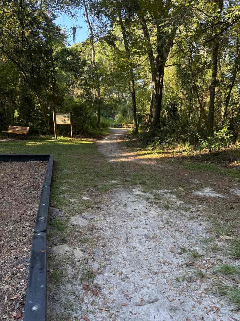 walking near me in Alfred A. Ring Park in autumn
