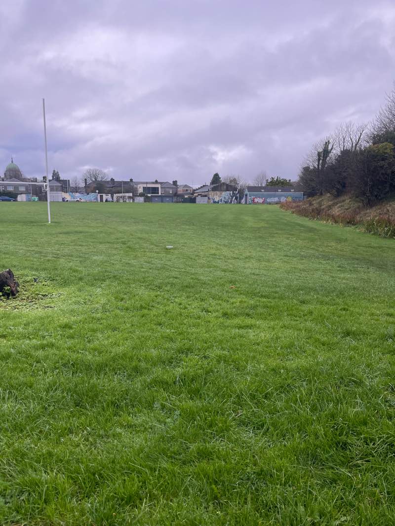 walking near me in The Plots in autumn