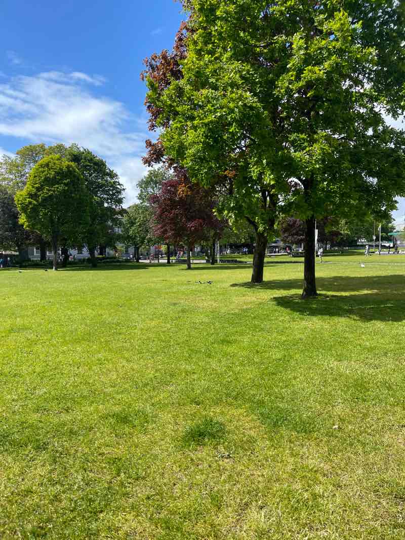 walking near me in Eyre Square in spring