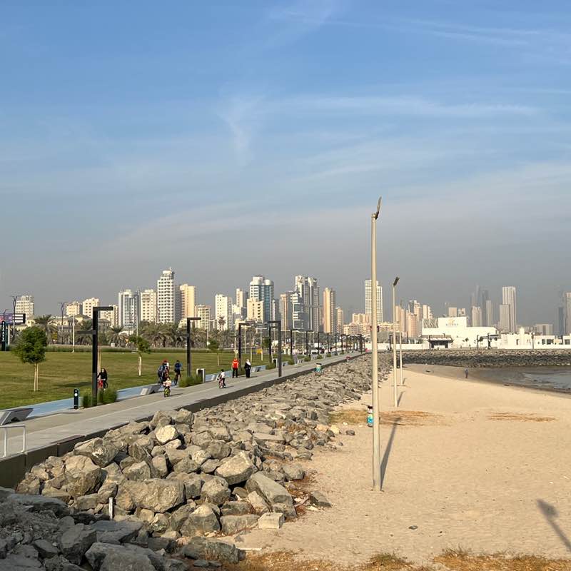 Immanuel John Varghese post 1