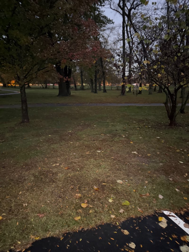 walking near me in Johnson Park in autumn