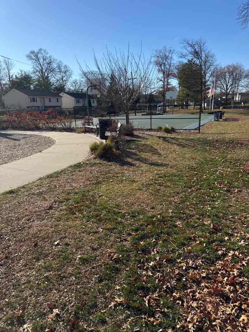 walking near me in Byrne Park in autumn