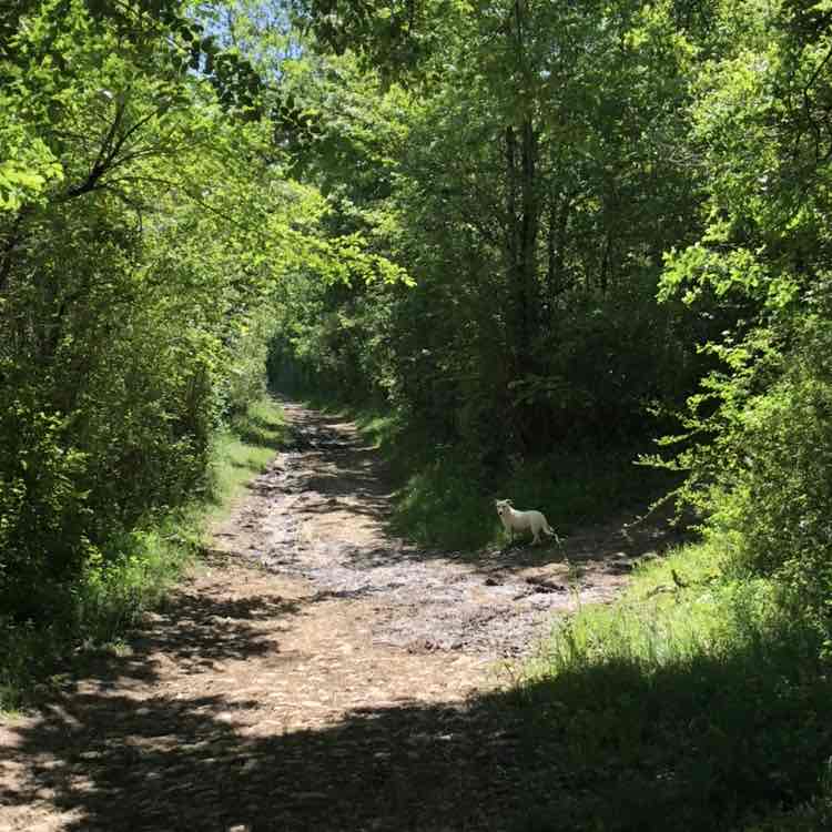 👟Never Give Up Go Run jerem post image