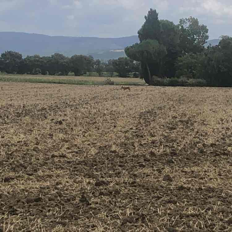 👟Never Give Up Go Run jerem post image