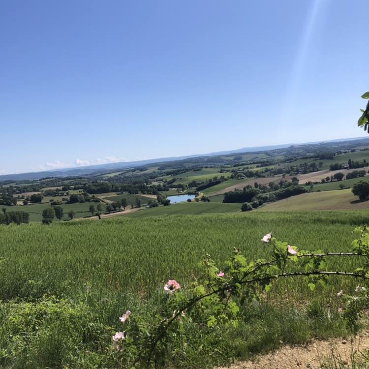 👟Never Give Up Go Run jerem post image