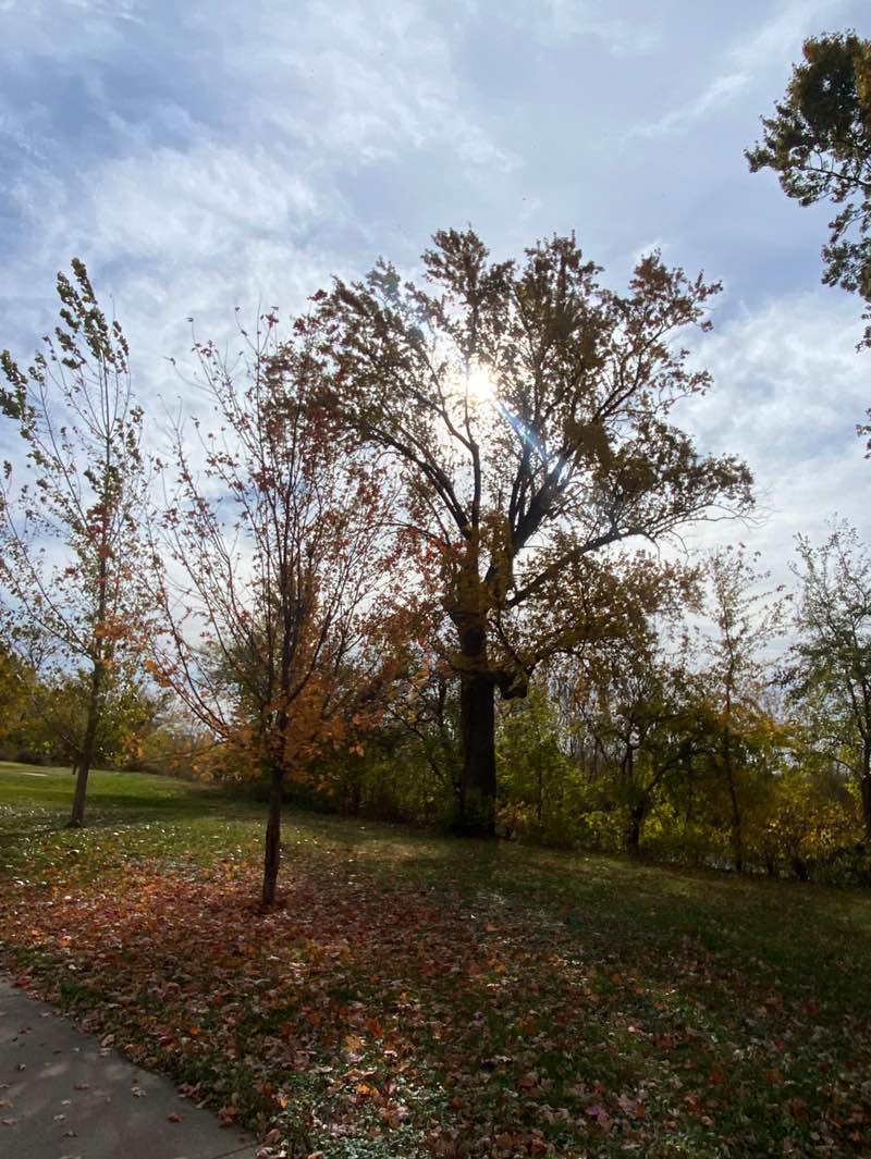 walking near me in Cedar River Park in autumn