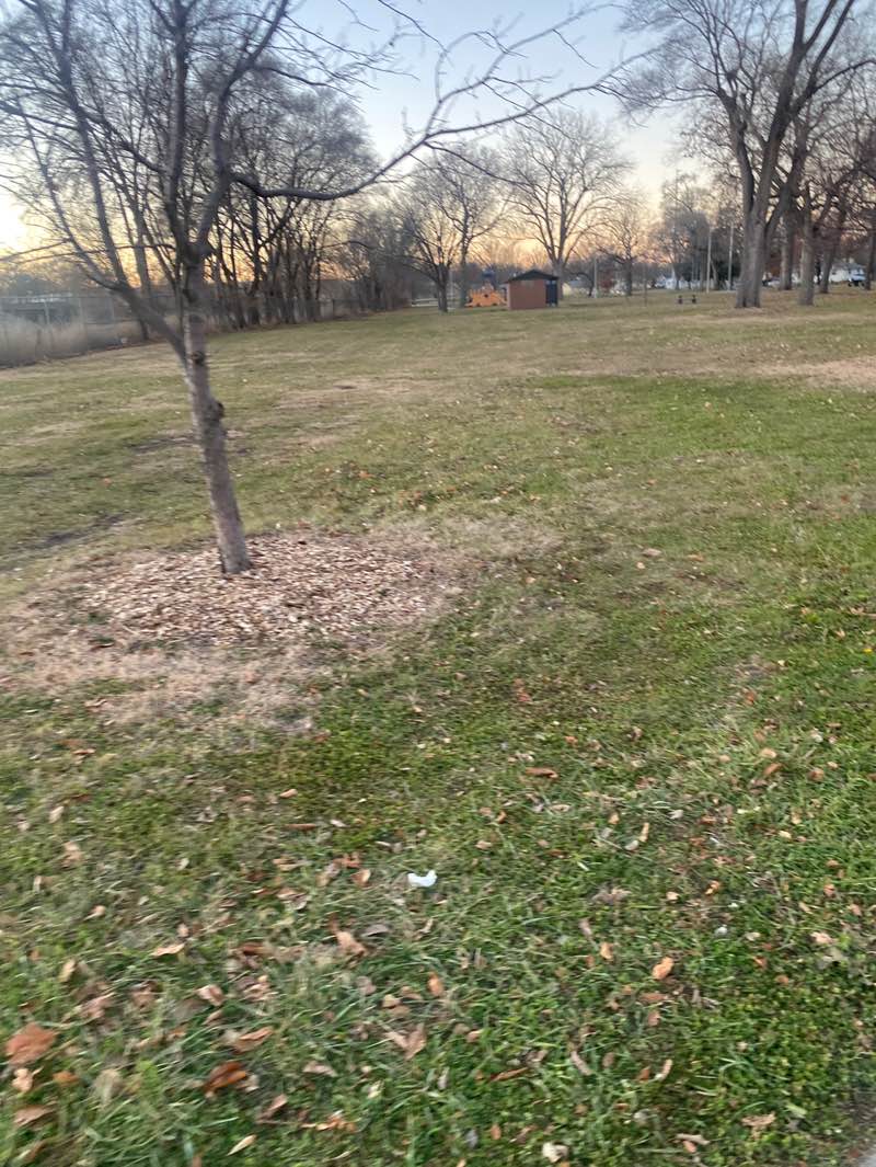 walking near me in Sullivan Memorial Park in autumn