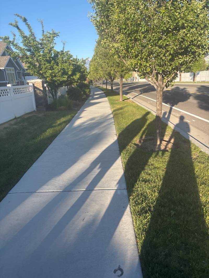 walking near me in Miller Crossing Open Space in summer