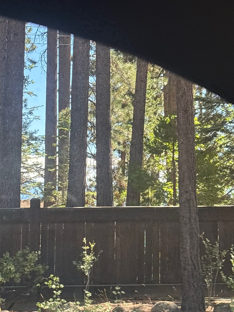 walking near me in Burnt Cedar Beach in summer