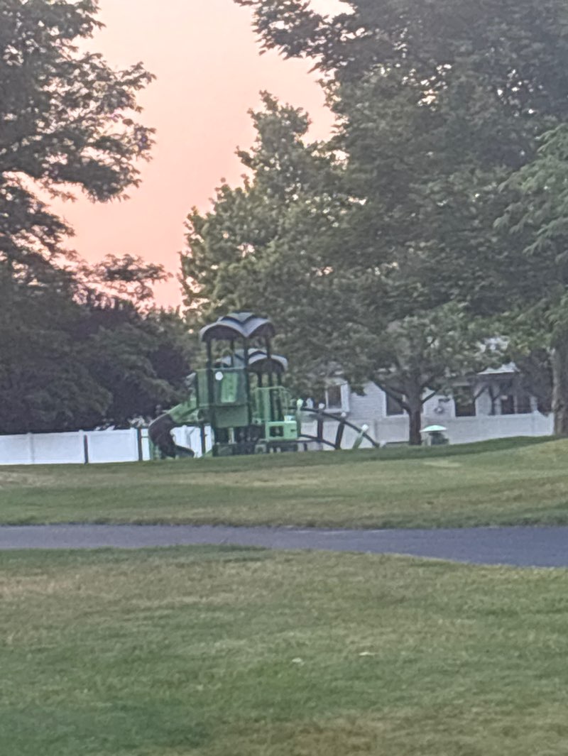 walking near me in Mineral Way Park in summer