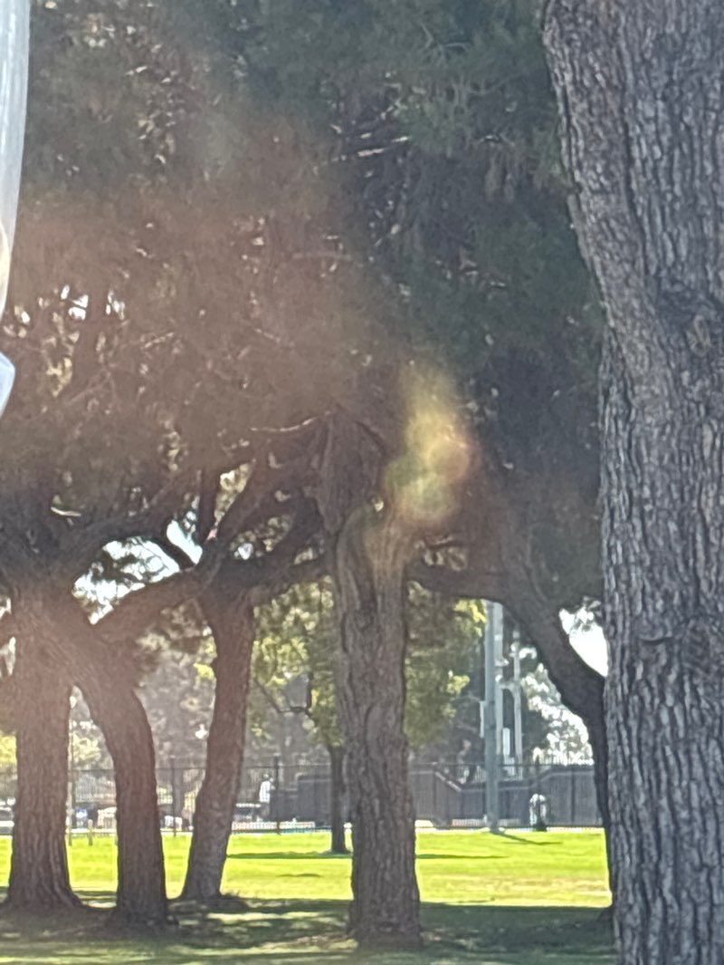 walking near me in Ruben S Ayala Park in summer