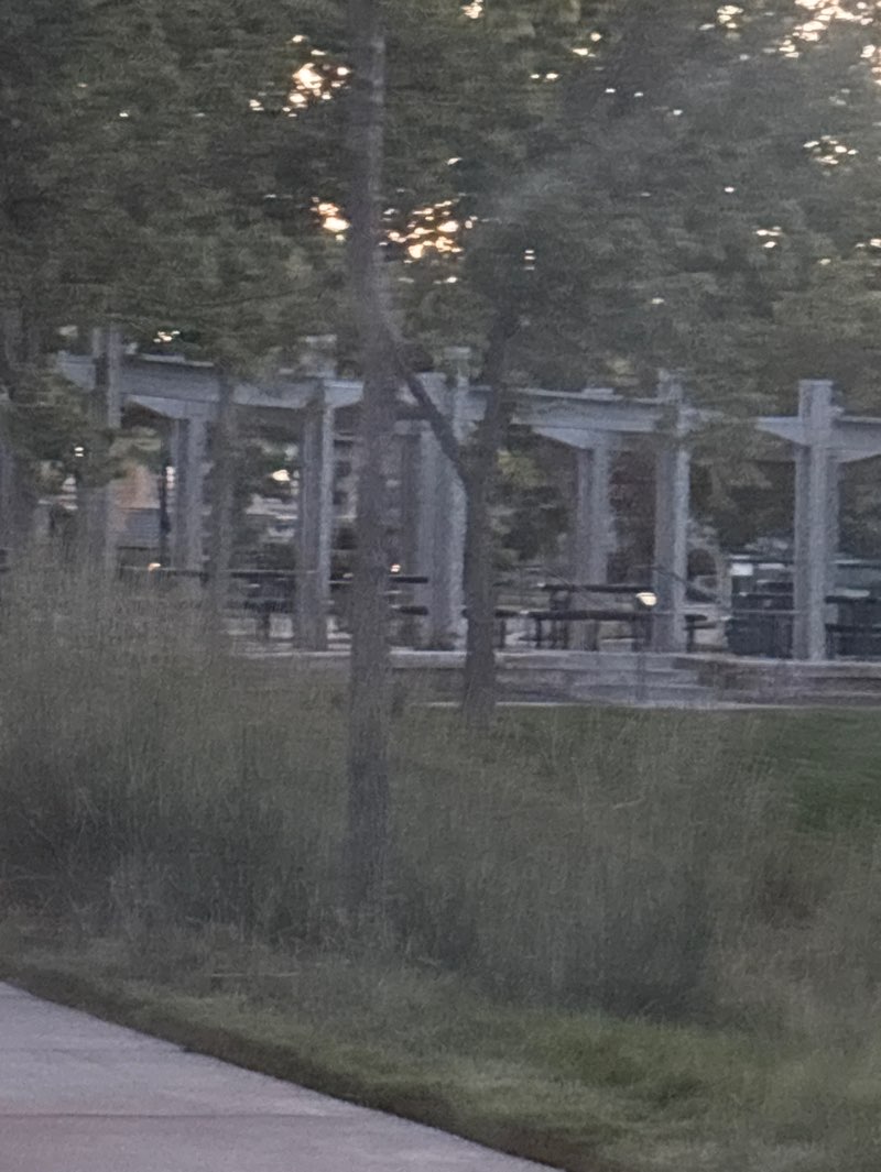 walking near me in Firmont Park in summer