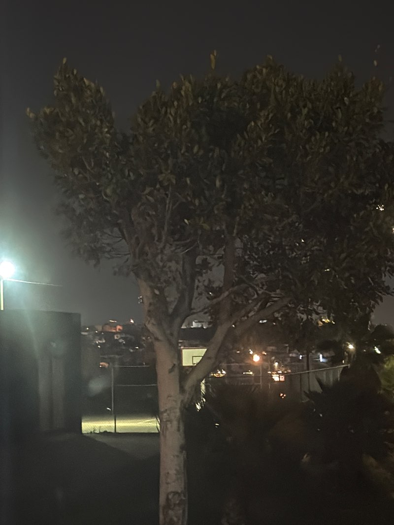 walking near me in Parque Lineal Camino Verde in winter