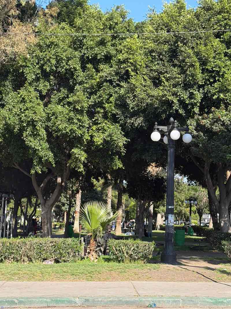 walking near me in Parque Teniente Guerrero in spring