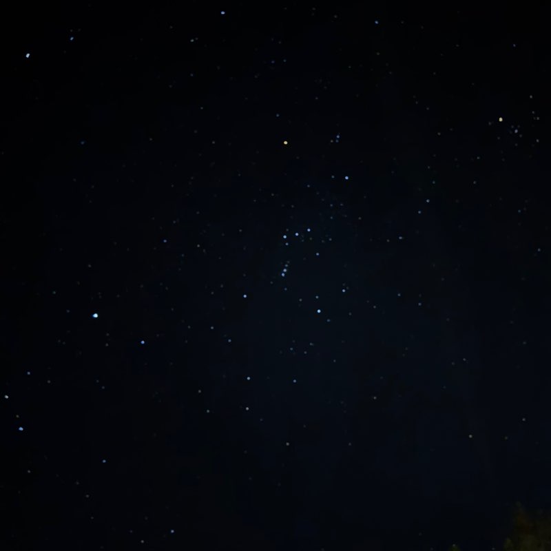 Michelle Verdugo post 1