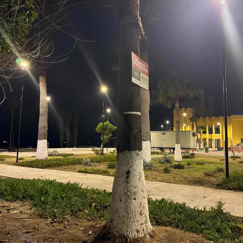 Michelle Verdugo post 1