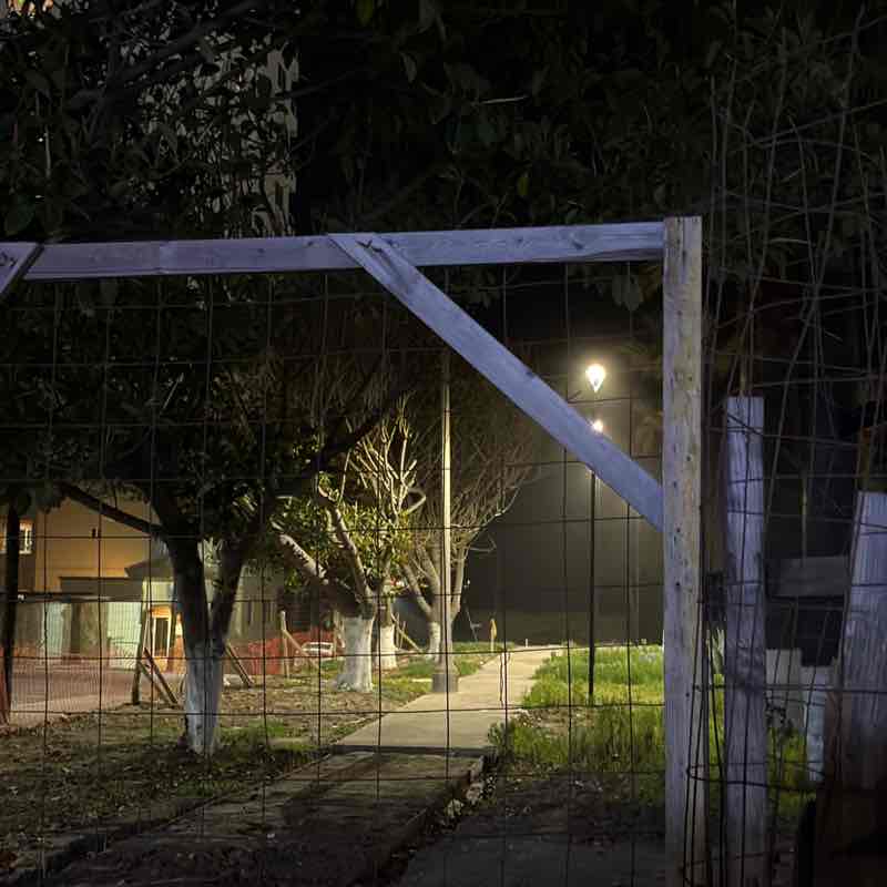 Michelle Verdugo post 1