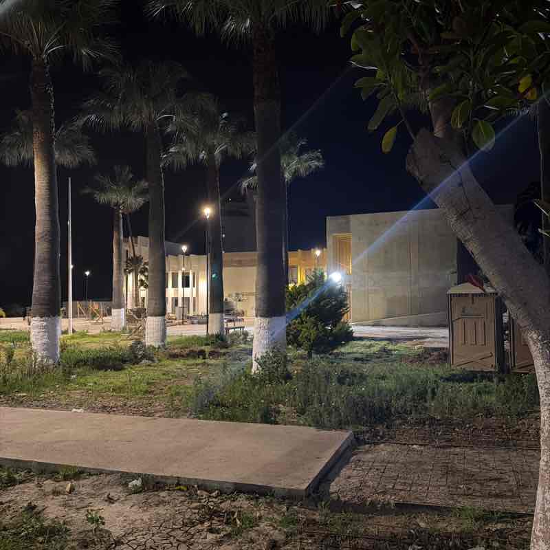 Michelle Verdugo post 1