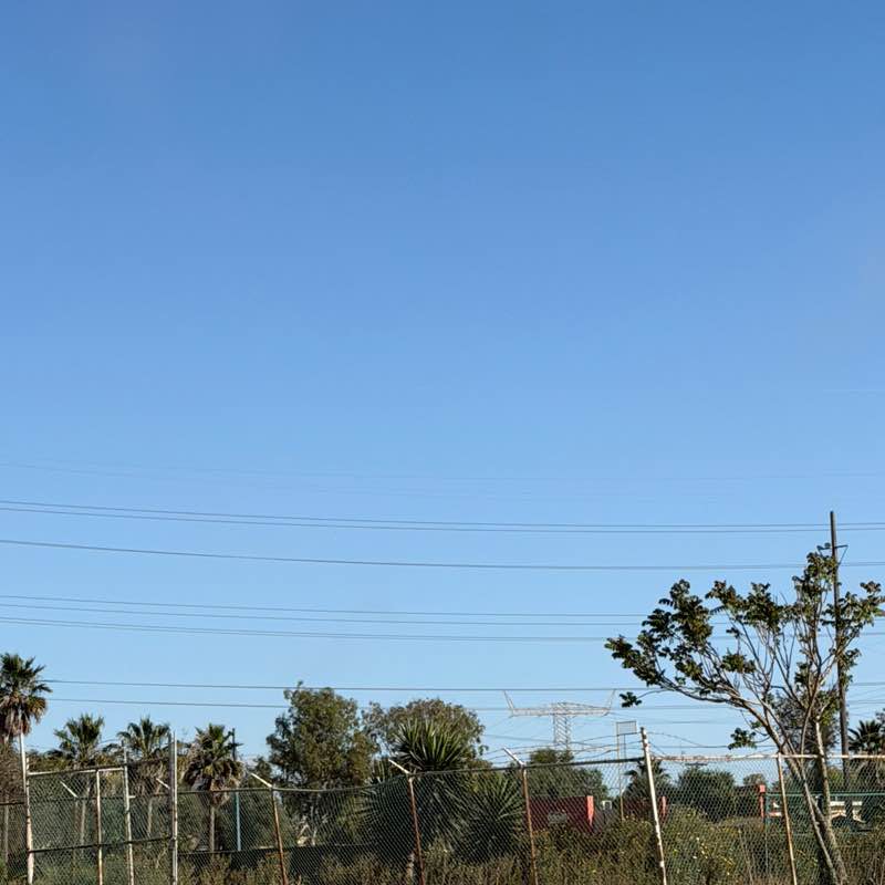 Michelle Verdugo post 1