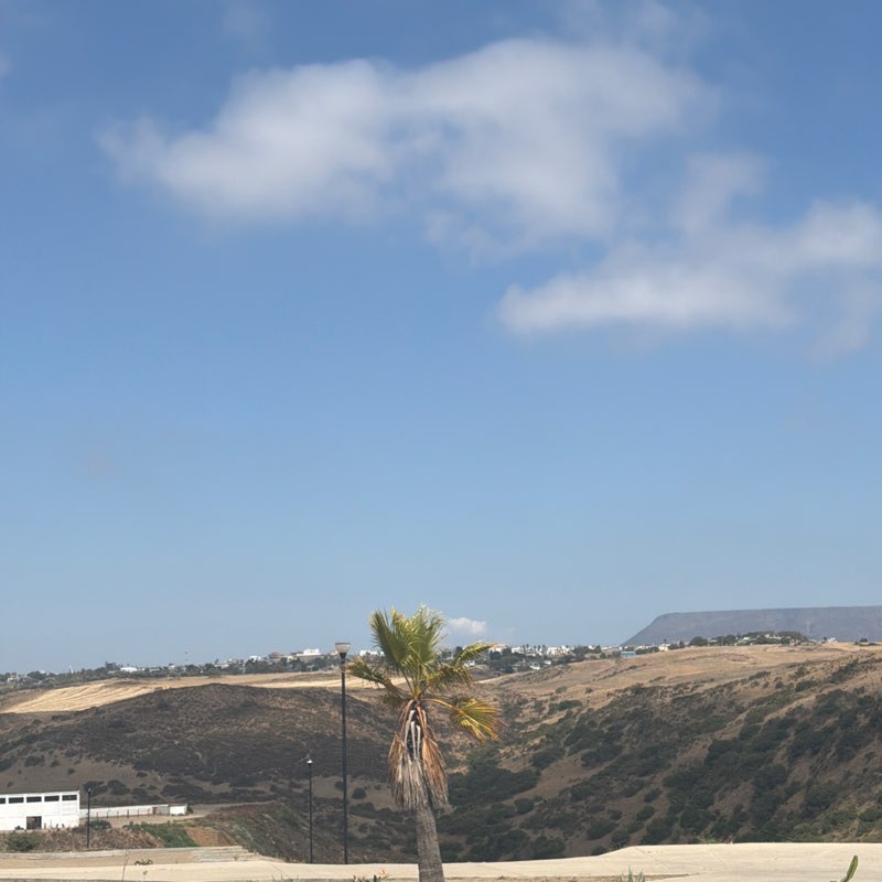 Michelle Verdugo post 1