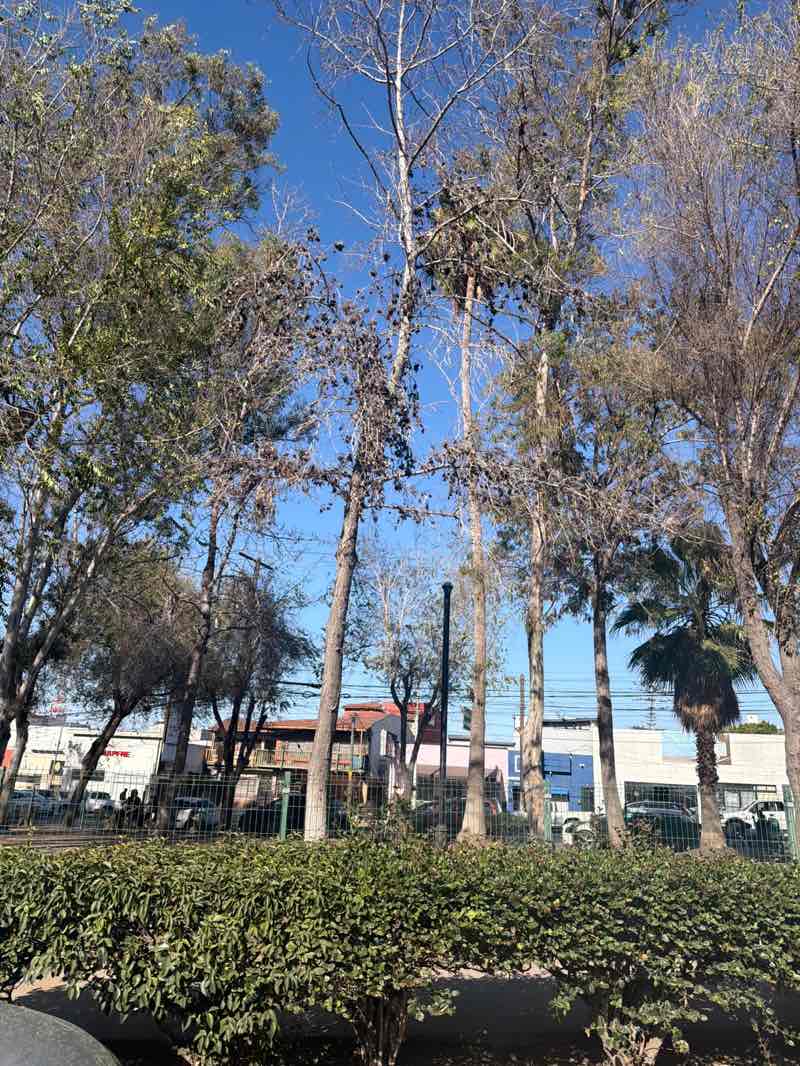 walking near me in Parque Fundadores in summer