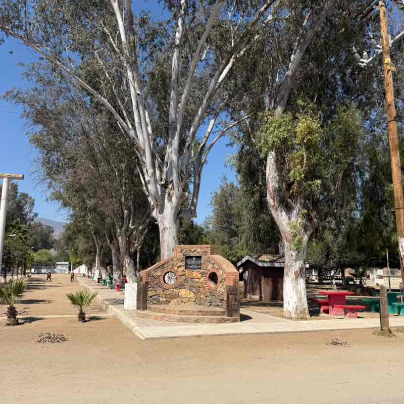 Michelle Verdugo post 1