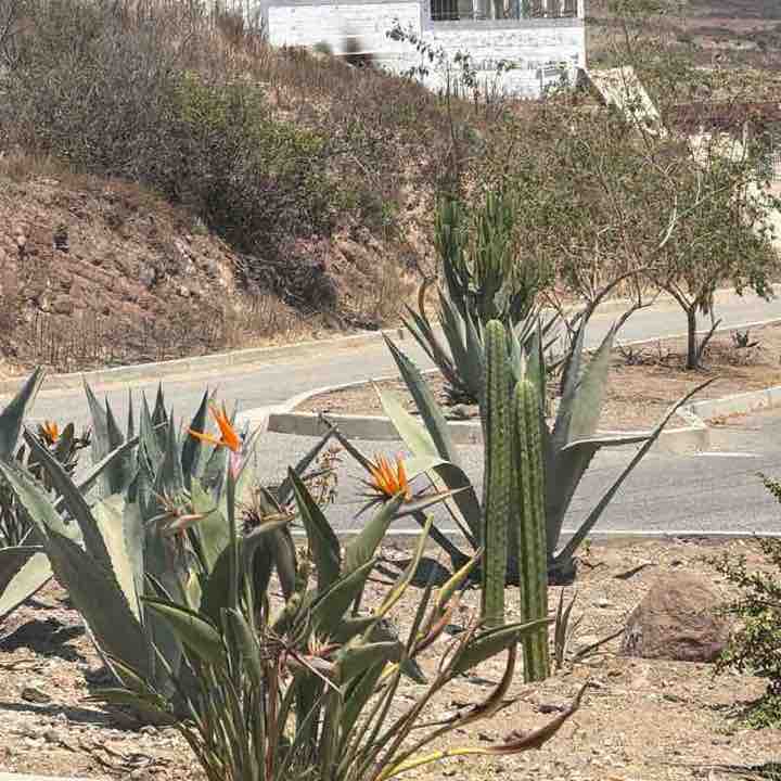 Michelle Verdugo post 1