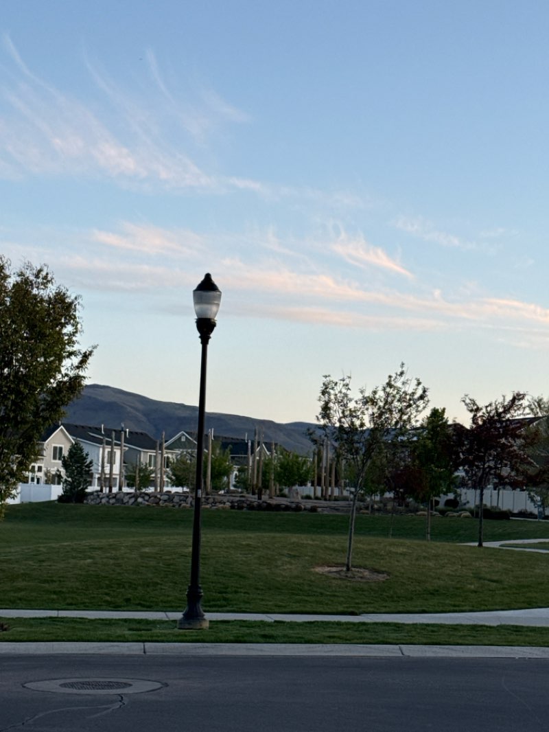 walking near me in Miller Crossing Open Space in spring