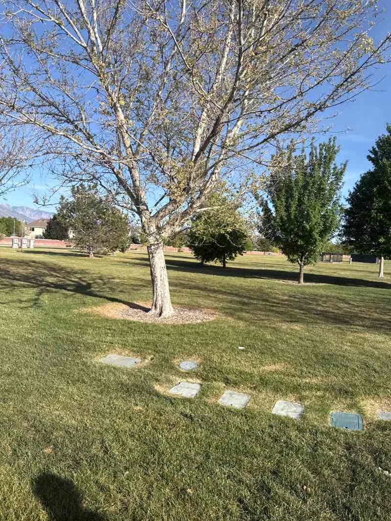 walking near me in Ivory Crossing Park in spring