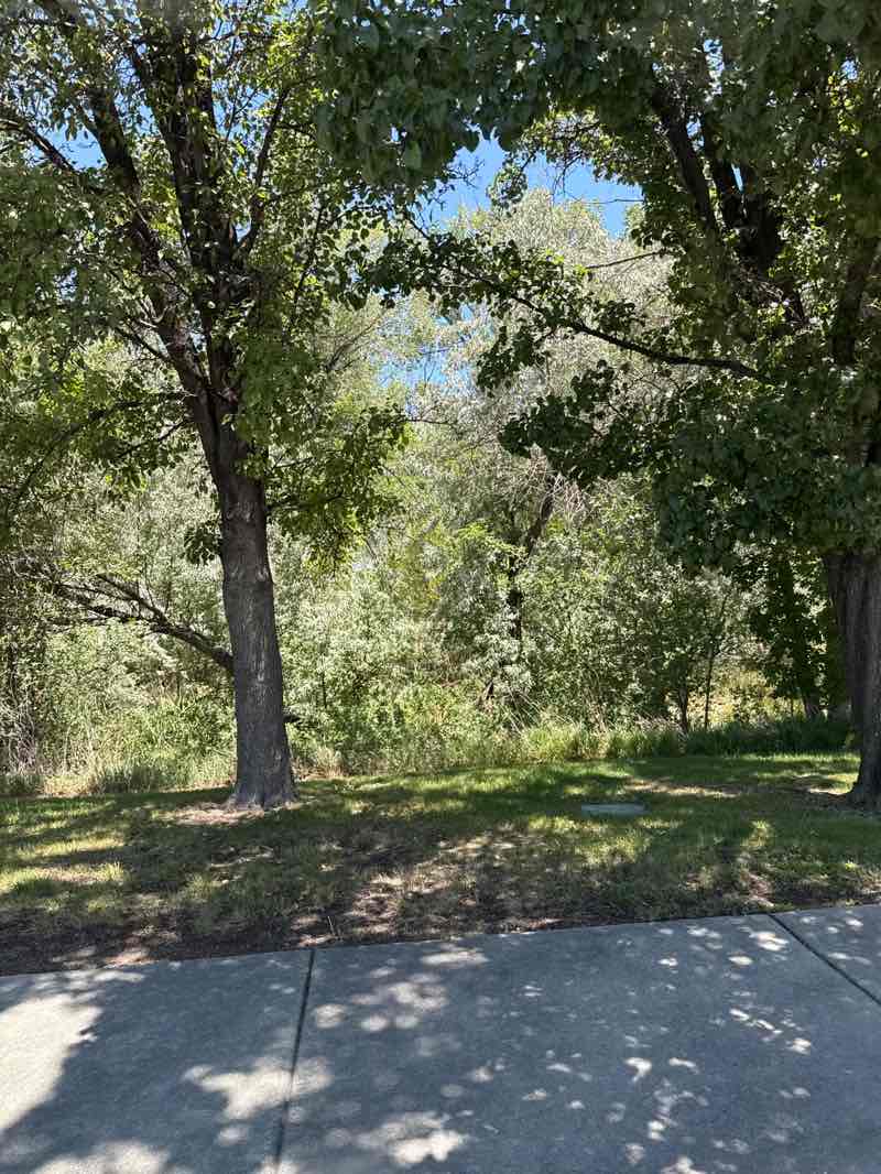 walking near me in Neff's Grove in summer