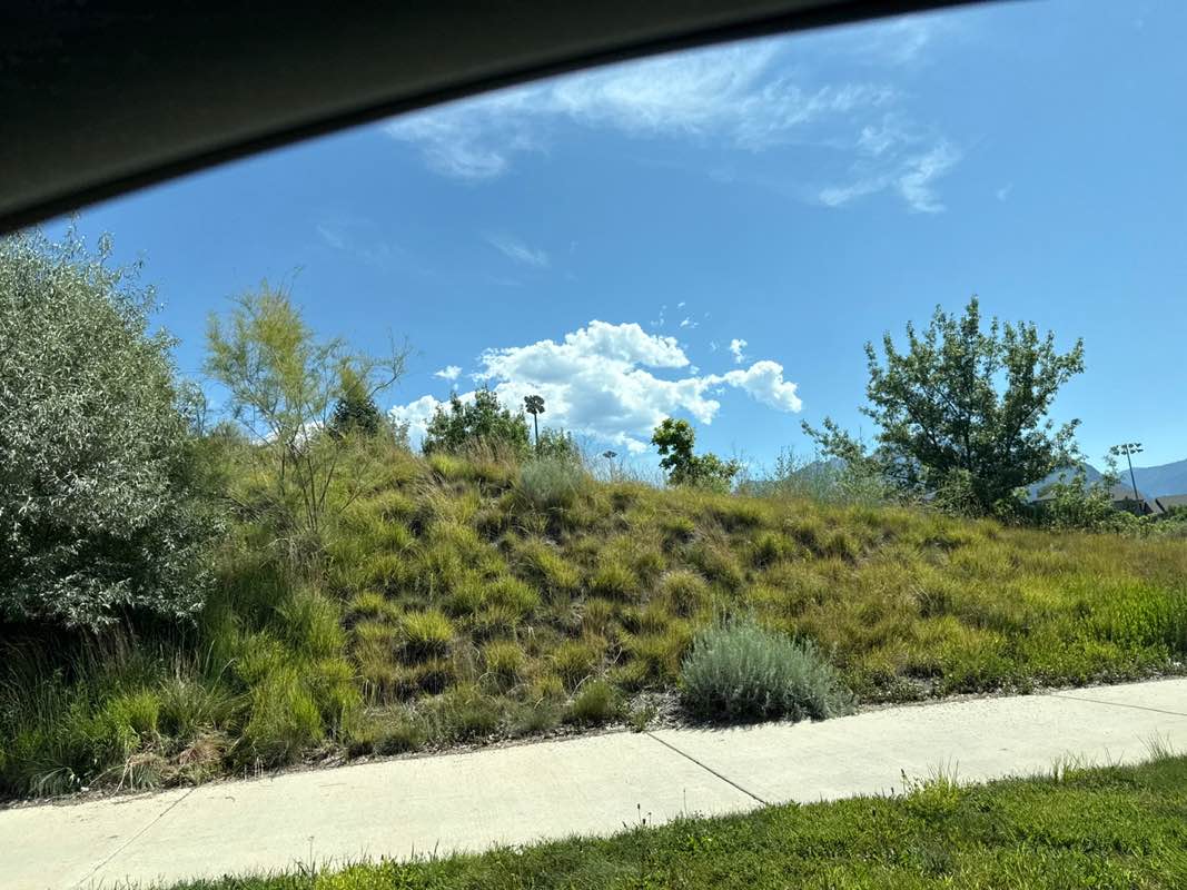 walking near me in Quarry Bend Park in summer
