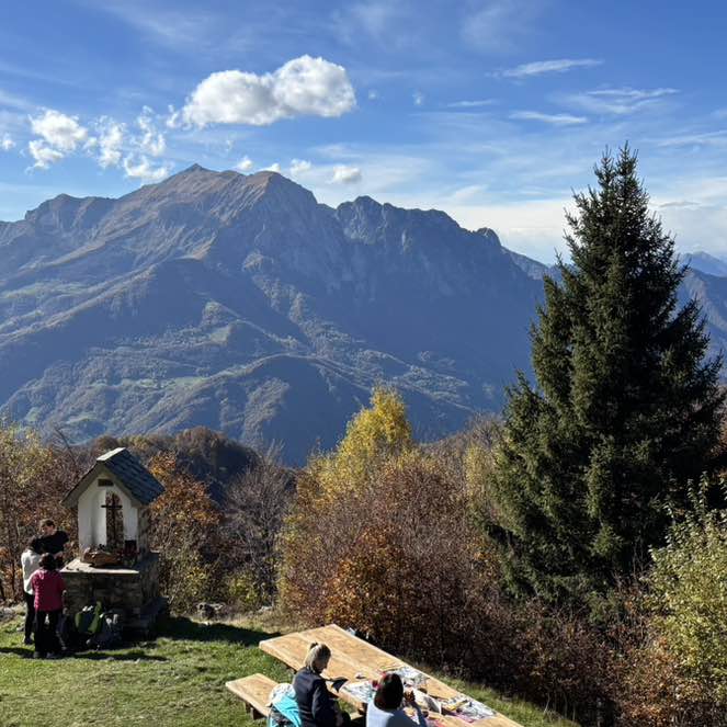 Solventum Tribe Wellness ddamia post image