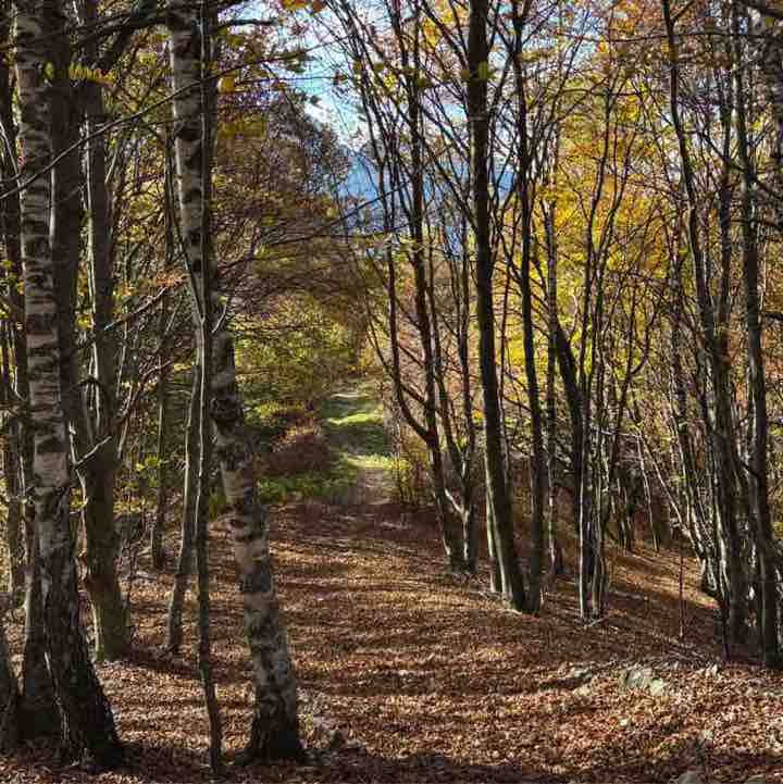 Solventum Tribe Wellness ddamia post image