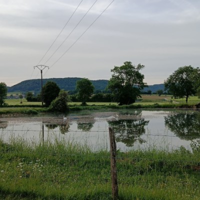 Les cop’s Cindy post image