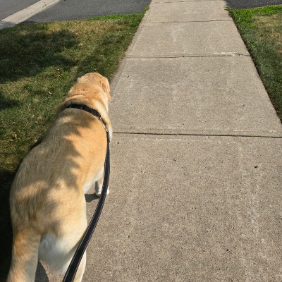 Jake post 1