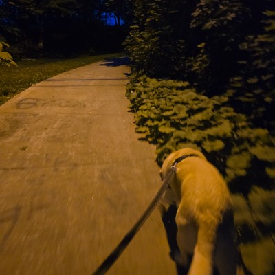 Jake post 3