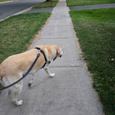 Jake post 2