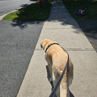Jake post 2