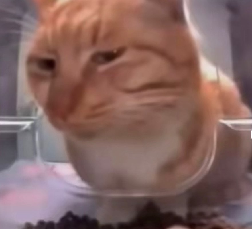 La Khoulante profile